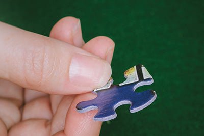 Maine Life (2202pz) - 1000 Piece Jigsaw Puzzle